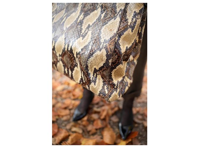 Sac à main Fendi Grand Peekaboo en Python Marron Clair - vue 5