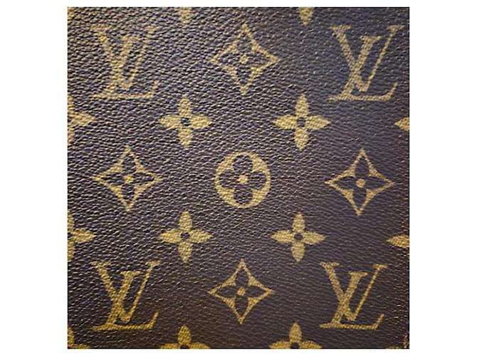 LOUIS VUITTON Borsa Le Plat Marrone - vista 3