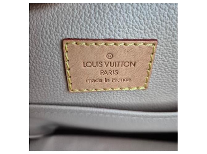 LOUIS VUITTON Borsa Le Plat Marrone - vista 4