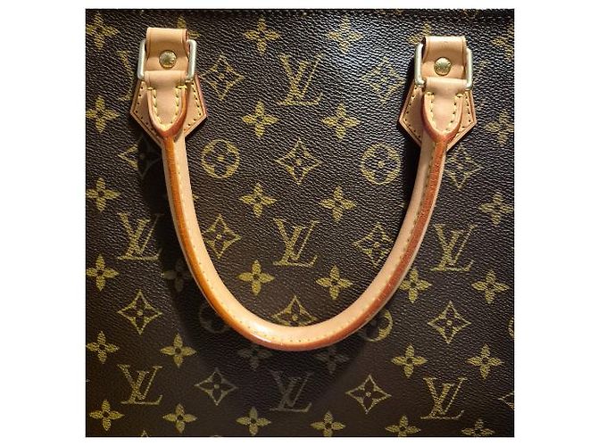 LOUIS VUITTON Borsa Le Plat Marrone - vista 5