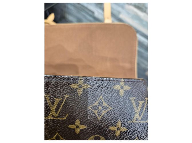 LOUIS VUITTON Borsa Marelle Marrone - vista 6