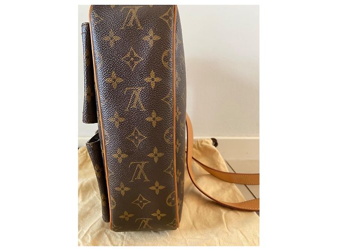 Louis Vuitton Hudson GM Borsa Monogram Canvas Marrone - vista 10