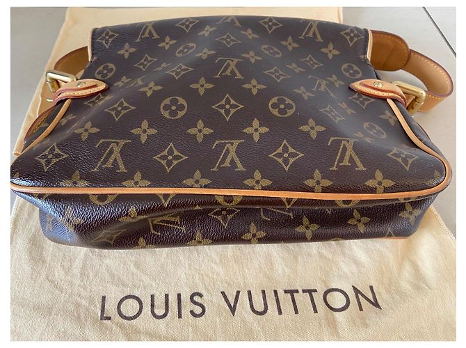 Louis Vuitton Monogram Hudson PM Borsa a mano marrone in pelle - vista 6