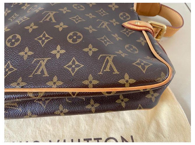 Louis Vuitton Monogram Hudson PM Borsa a mano marrone in pelle - vista 7