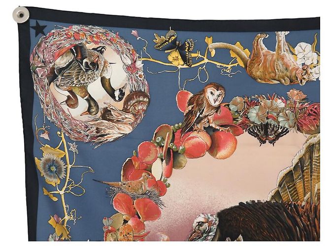 Hermès SCIALLE HERMES FAUNA E FLORE DEL TEXAS KERMIT OLIVER 90 SETA BLU - vista 2