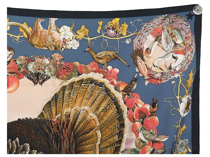 Hermès SCIALLE HERMES FAUNA E FLORE DEL TEXAS KERMIT OLIVER 90 SETA BLU - vista 3