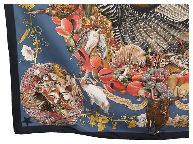 Hermès SCIALLE HERMES FAUNA E FLORE DEL TEXAS KERMIT OLIVER 90 SETA BLU - vista 5