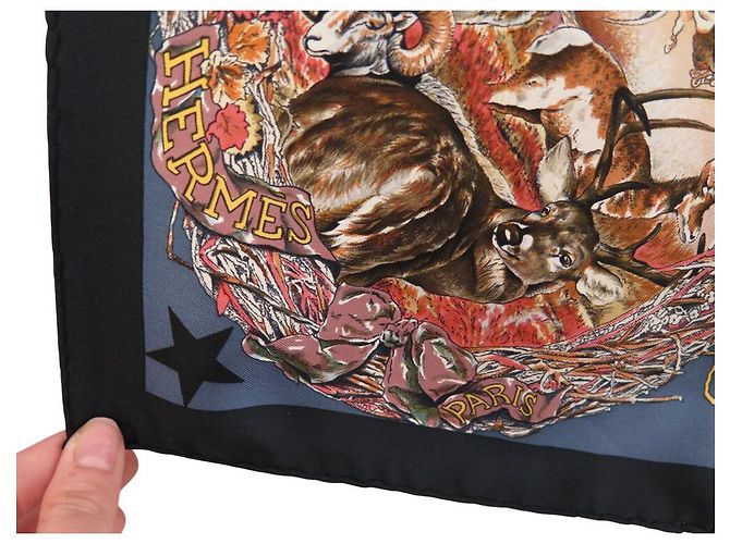 Hermès SCIALLE HERMES FAUNA E FLORE DEL TEXAS KERMIT OLIVER 90 SETA BLU - vista 8