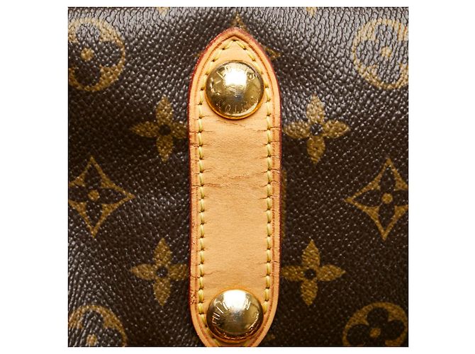 Bolso Tote Louis Vuitton Monogram Galliera PM Castaño Monograma - vista 10