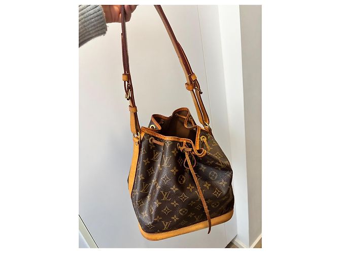 Noe Borsa tote Louis Vuitton in pelliccia marrone chiaro e scuro Marrone scuro - vista 2