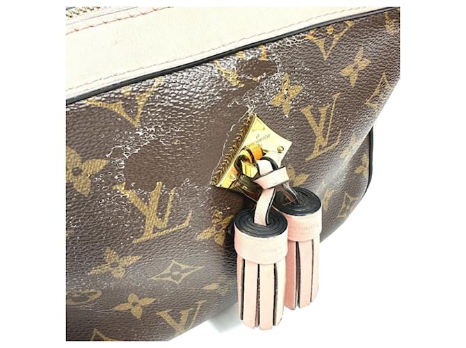 Borsa Santonge Monogram Louis Vuitton Marrone Rosa - vista 8