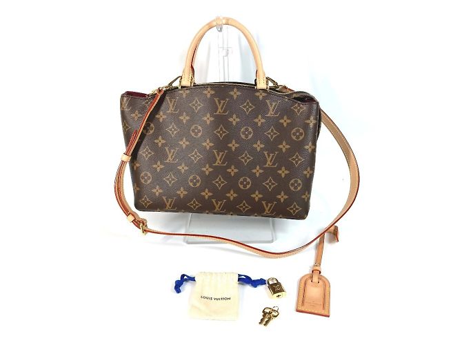 Borsa Petit Palais PM Monogramma Louis Vuitton Marrone - vista 14