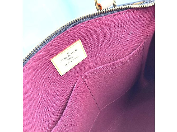 Borsa Petit Palais PM Monogramma Louis Vuitton Marrone - vista 16