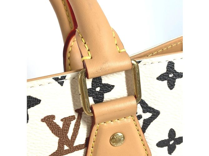 Borsa Tote Sac Plat Monogram Craggy Louis Vuitton Multicolore Beige - vista 10