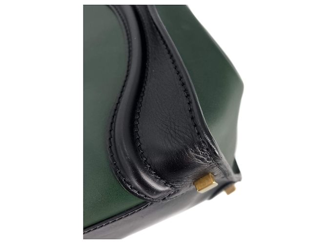 Luggage Céline Mehrfarbige Lederhandtasche grün Mehrfarben - Ansicht 11