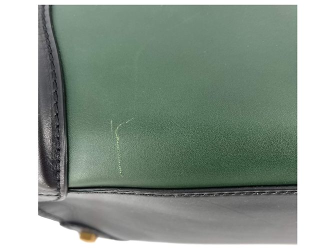 Luggage Céline Mehrfarbige Lederhandtasche grün Mehrfarben - Ansicht 12