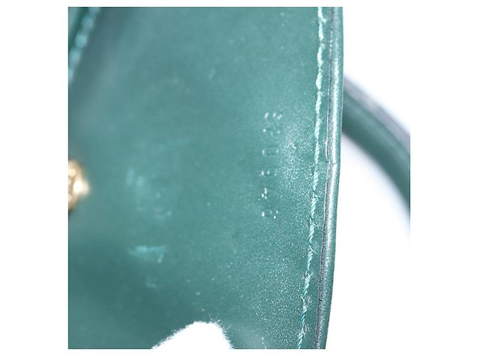 LOUIS VUITTON Taiga Bering Capa de Vestuário Épicea M30134 LV Auth MX119 - vista 12