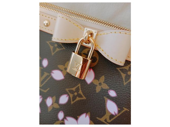 Pochette Accessori Louis Vuitton x Murakami Cherry Blossom Multicolore - vista 8
