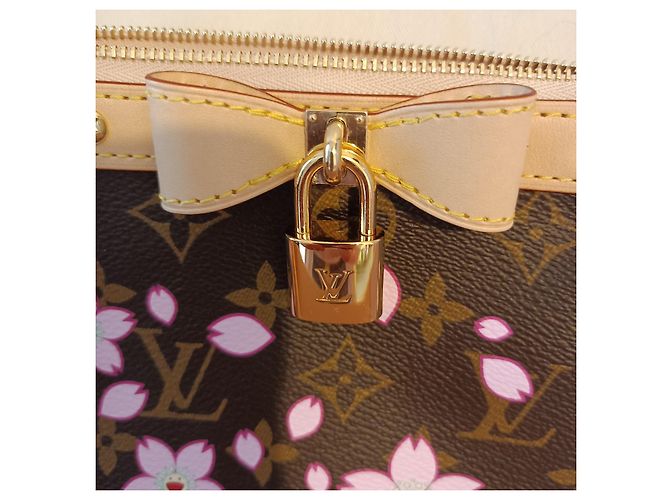 Pochette Accessori Louis Vuitton x Murakami Cherry Blossom Multicolore - vista 9