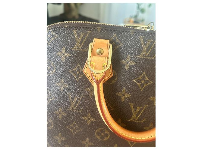 Borsa Louis Vuitton Alma PM Marrone in Tela - vista 3
