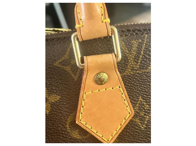 Borsa Louis Vuitton Alma PM Marrone in Tela - vista 6