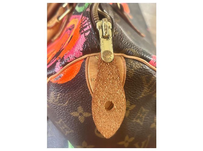 Louis Vuitton Speedy 30 Monogram Stephen Sprouse Monogramma - vista 10