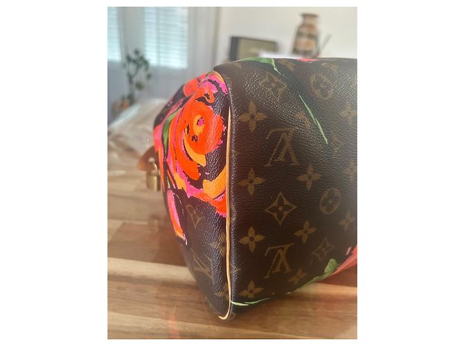 Louis Vuitton Speedy 30 Monogram Stephen Sprouse Monogramma - vista 7