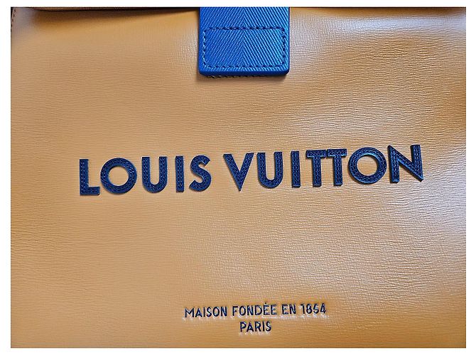 Borsa da sandwich Louis Vuitton uomo sfilata 2024 Arancione - vista 7