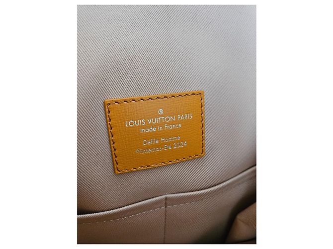 Borsa da sandwich Louis Vuitton uomo sfilata 2024 Arancione - vista 8