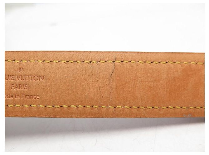 COLLARE PER CANE LOUIS VUITTON BAXTER GM M58070 IN CANVAS MONOGRAMMA Marrone - vista 10