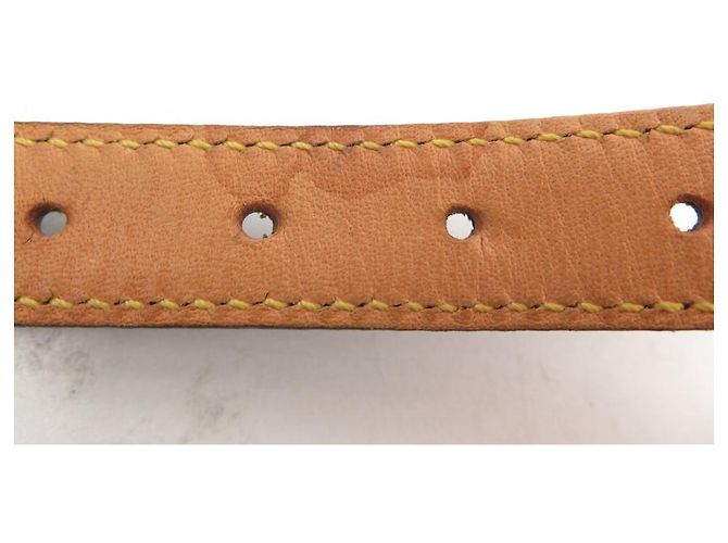COLLARE PER CANE LOUIS VUITTON BAXTER GM M58070 IN CANVAS MONOGRAMMA Marrone - vista 11