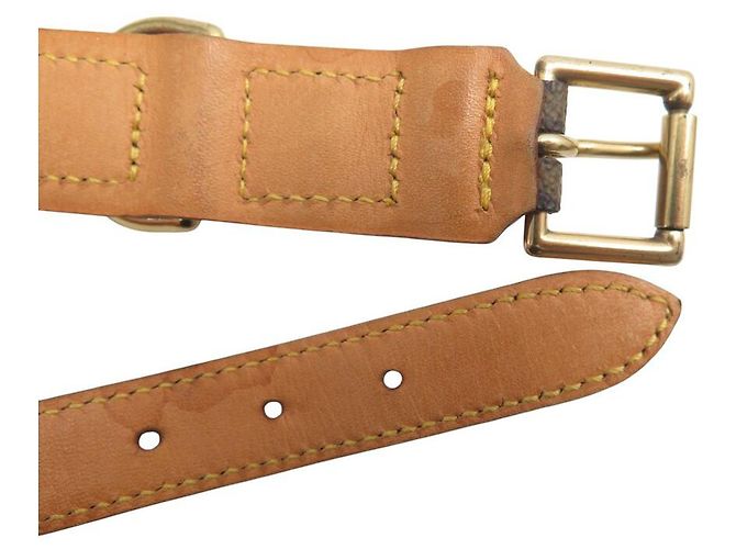 COLLARE PER CANE LOUIS VUITTON BAXTER GM M58070 IN CANVAS MONOGRAMMA Marrone - vista 6