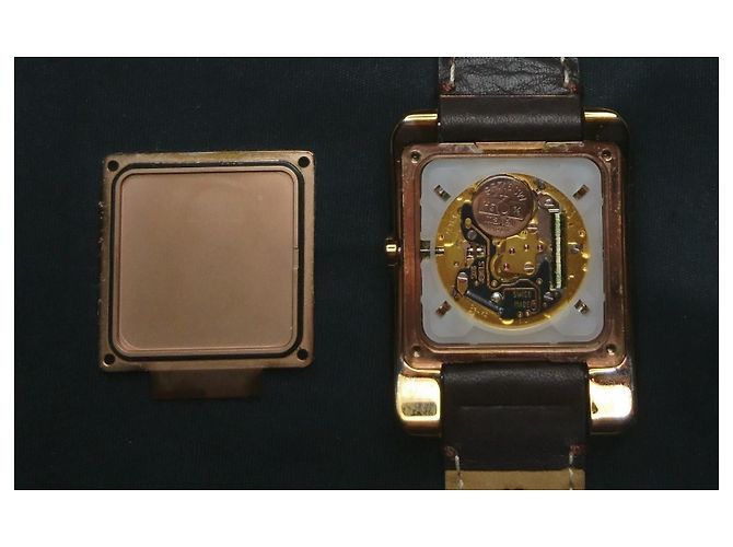 Céline Celine Damenquarzuhr, Swiss Made Golden Dunkelbraun - Ansicht 6