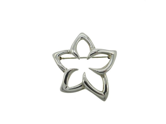 Tiffany & Co Spilla Fiore Plumeria Tiffany Argento - vista 2