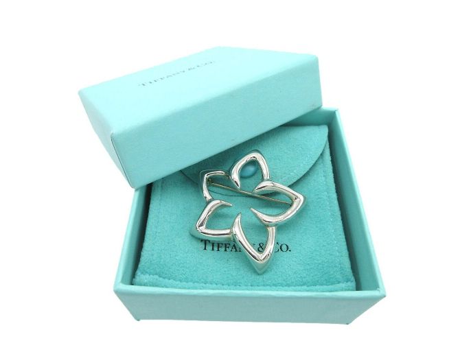 Tiffany & Co Spilla Fiore Plumeria Tiffany Argento - vista 3