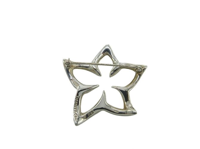 Tiffany & Co Spilla Fiore Plumeria Tiffany Argento - vista 4