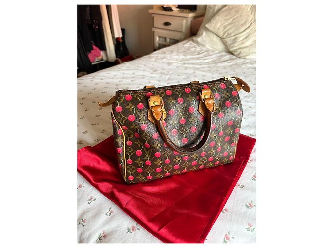 Louis Vuitton Speedy 25 Ciliegia Murakami Marrone scuro - vista 10