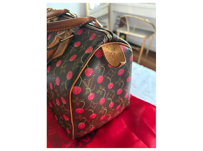 Louis Vuitton Speedy 25 Ciliegia Murakami Marrone scuro - vista 12
