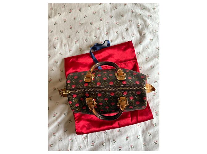 Louis Vuitton Speedy 25 Ciliegia Murakami Marrone scuro - vista 13