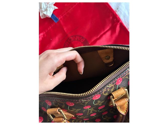 Louis Vuitton Speedy 25 Ciliegia Murakami Marrone scuro - vista 14