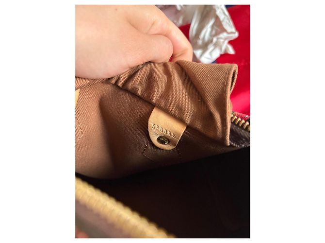 Louis Vuitton Speedy 25 Ciliegia Murakami Marrone scuro - vista 15