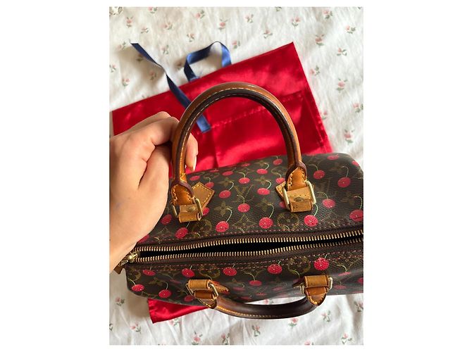 Louis Vuitton Speedy 25 Ciliegia Murakami Marrone scuro - vista 16