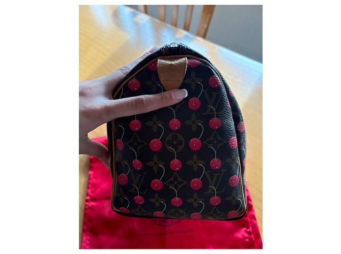 Louis Vuitton Speedy 25 Ciliegia Murakami Marrone scuro - vista 17