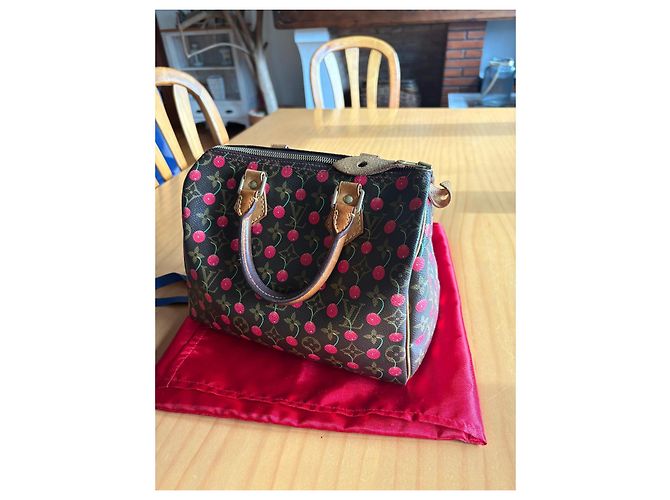 Louis Vuitton Speedy 25 Ciliegia Murakami Marrone scuro - vista 18