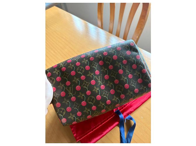 Louis Vuitton Speedy 25 Ciliegia Murakami Marrone scuro - vista 19