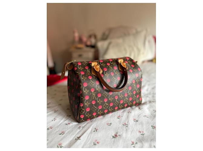 Louis Vuitton Speedy 25 Ciliegia Murakami Marrone scuro - vista 2