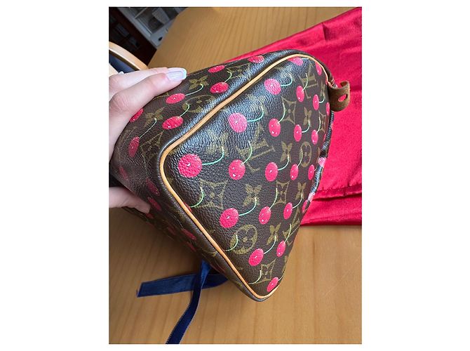 Louis Vuitton Speedy 25 Ciliegia Murakami Marrone scuro - vista 20