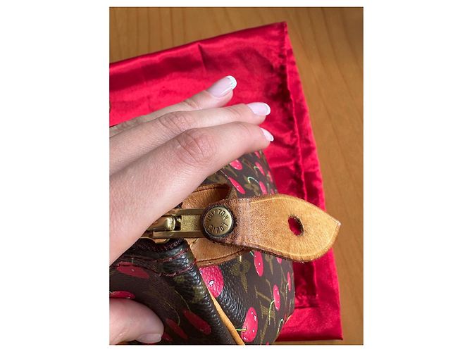 Louis Vuitton Speedy 25 Ciliegia Murakami Marrone scuro - vista 21