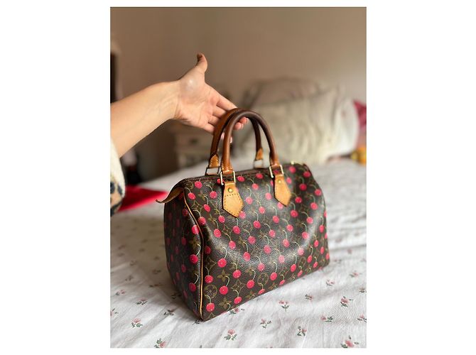 Louis Vuitton Speedy 25 Ciliegia Murakami Marrone scuro - vista 5