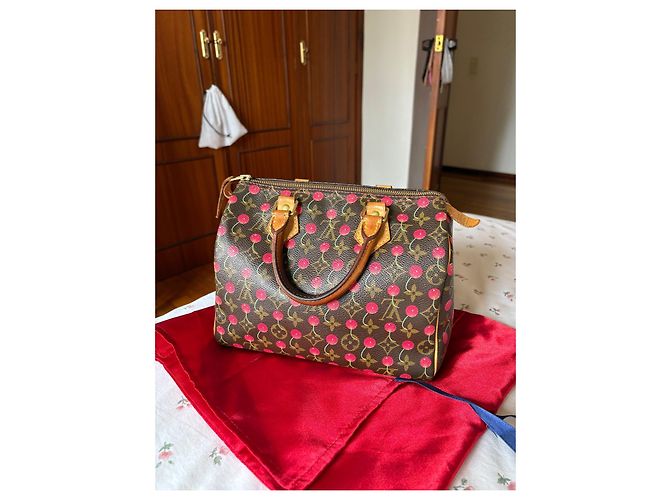 Louis Vuitton Speedy 25 Ciliegia Murakami Marrone scuro - vista 6